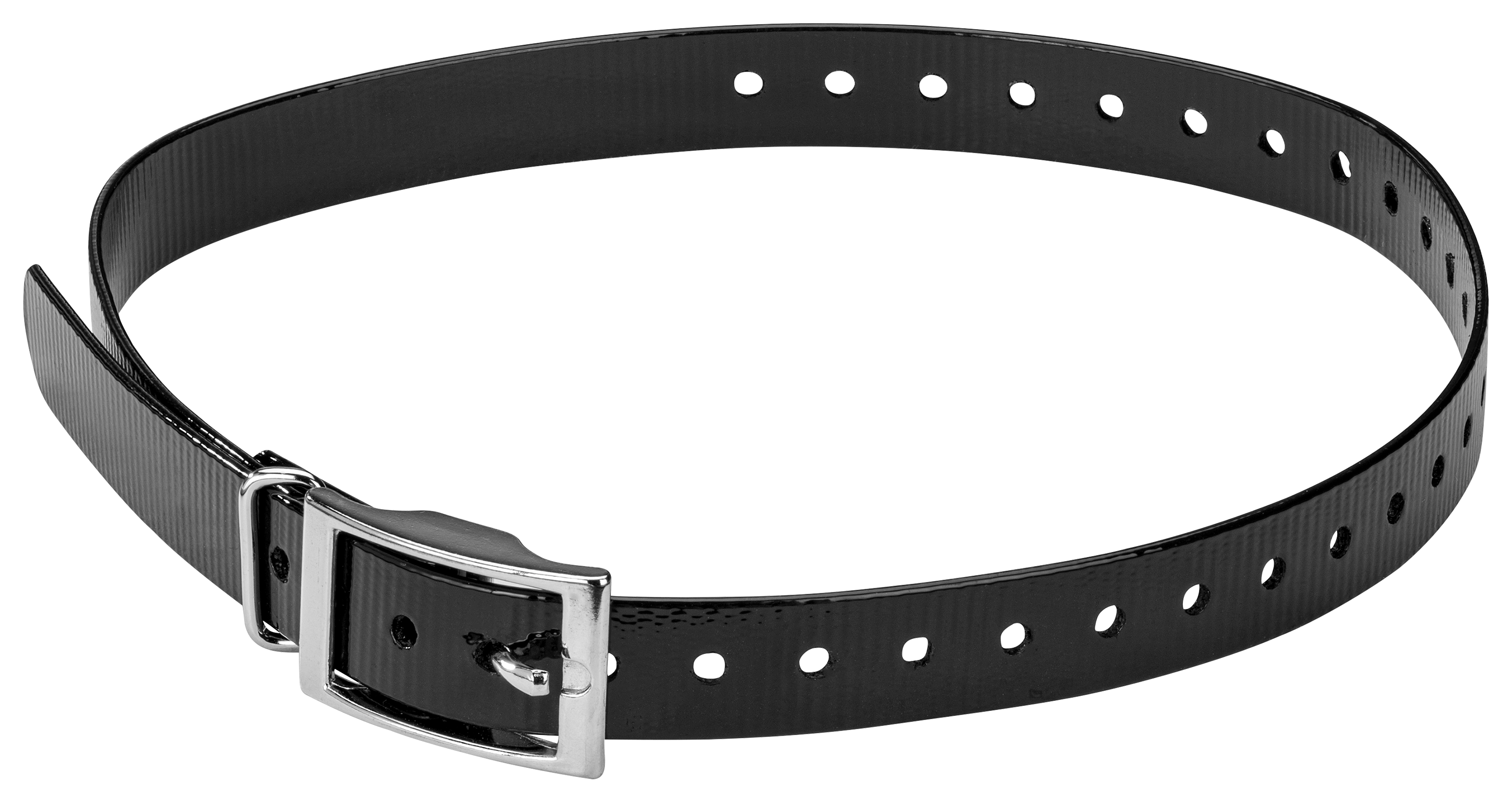 Cabela's ECollar Replacement Strap Dog Collar Bass Pro Shops